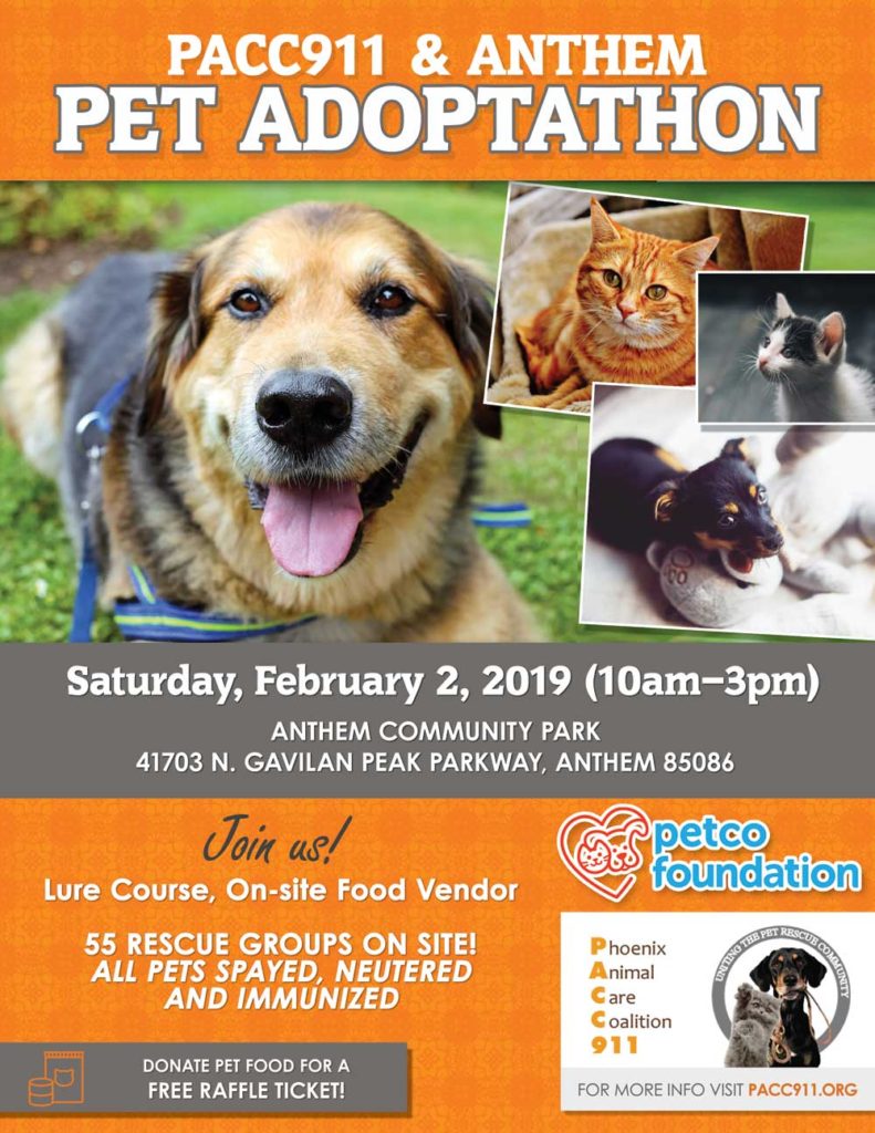 Come out and meet our dogs looking for their forever homes.